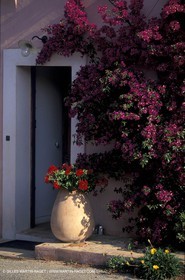 Porquerolles Island