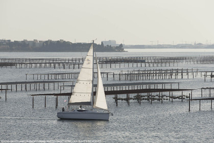 28 01 2016, Sète (FRA,34), Cruising on Thau Basin