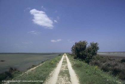 France, Provence, Camargue, Nature, marais, plage, beaches, marshes