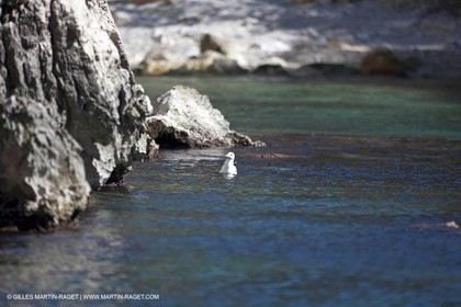 26 03 2009 - Marseille (FRA, 13) - Les Calanques - Sugiton
