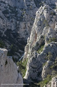 06 05 2009 - Marseille (FRA, 13) - Les Calanques - On Castelviel plateau - En Vau