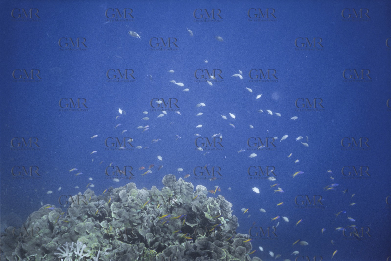 Destinations, Maldives