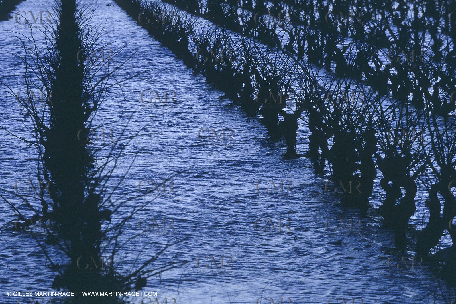 Vin, Vigne , Vendanges, vignification, vignobles, France, Provence, Côte du Rhône, Rosé