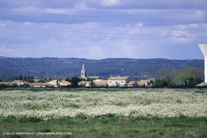 Paysages de Nîmes Métropole (FRA,30)