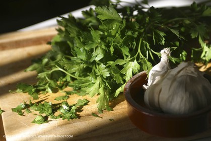 Cooking herbes from Provence - Garlic and Parsley