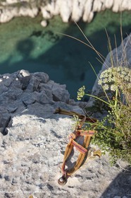 06 05 2009 - Marseille (FRA, 13) - Les Calanques - On Castelviel plateau - En Vau