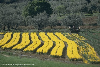 France, Provence, Luberon