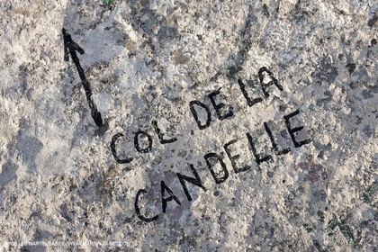 30 04 2009 - Marseille (FRA, 13) - Les Calanques - Au sommet du Mont Puget