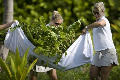 01 02 2008 - Archipel des San Blas (Panama) - Motor Yacht Senses