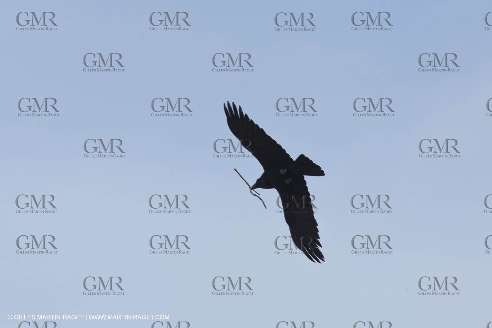 21 04 2010 - Marseille (FRA,13) - The Calanques - Devenson Cliffs