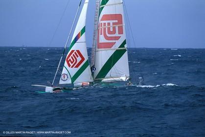 RhuMulti36
