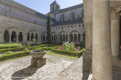 25 06 2018, Gordes (FRA,84), Abbaye de Sénanque