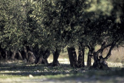 Clarensac