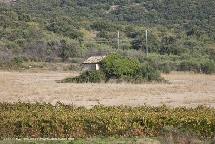 25 09 2009 - Sernhac (FRA,30)