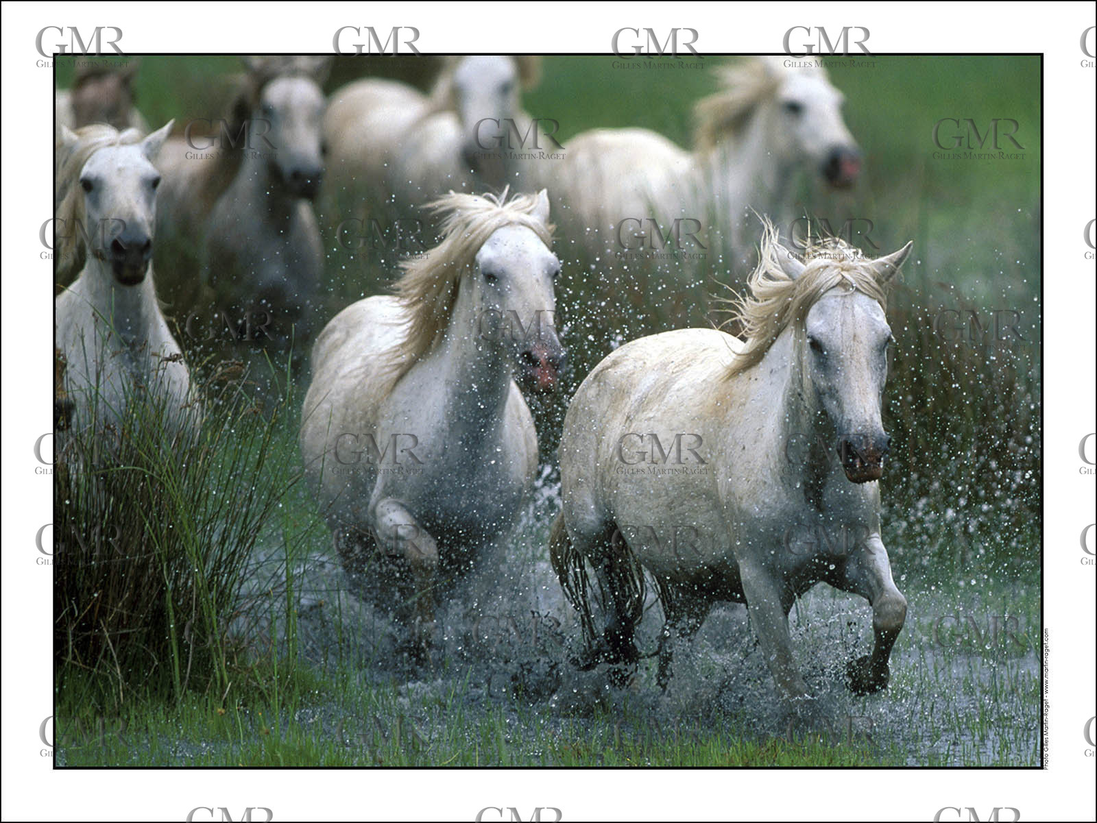 Product: in house made quality print on 8 ultrachome colors Epson ink Jet printer.Available sizes: . 30x40 cm. 50x70 cm. 80x120 cmAvailable papers: . Standard 250 gr glossy paper print, black streak, white margin, no signature. Top quality glossy 290 gr. paper, black streak, white margin, checked and signed by the author. Fine Art print (signed, numbered, stamped, registered) on demand. Other supports (Canvas, Acrylic, Metal) on demandPackaging: cylindric reinforced tubeShipping options: regular mail or Shipping companyClick on the basket icon to select your options and start the online ordering process