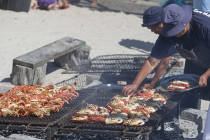 10 11 2014, Capetown (ZAF), Volvo Ocean Race 2014-15, Team Alvimedica