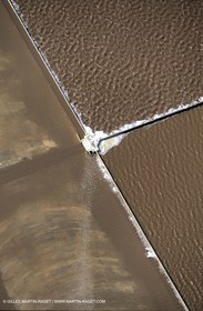 Ponds from Camargue