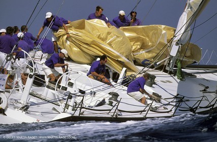 Maxi Yachts