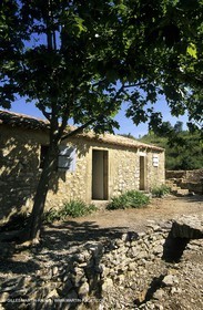 Nîmes garrigue