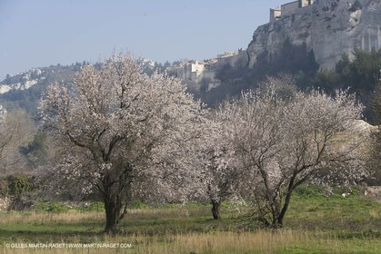 16 02 2008 - Les Baux de Provence (FRA, 13) - Alpilles hills landscapes