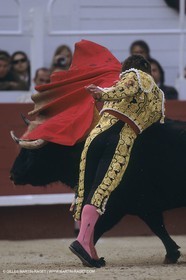 France, Provence, Traditions, Tauromachie, bull fights