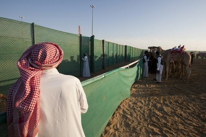 20 11 2010 - Dubai (EAU) - Courses de chameaux