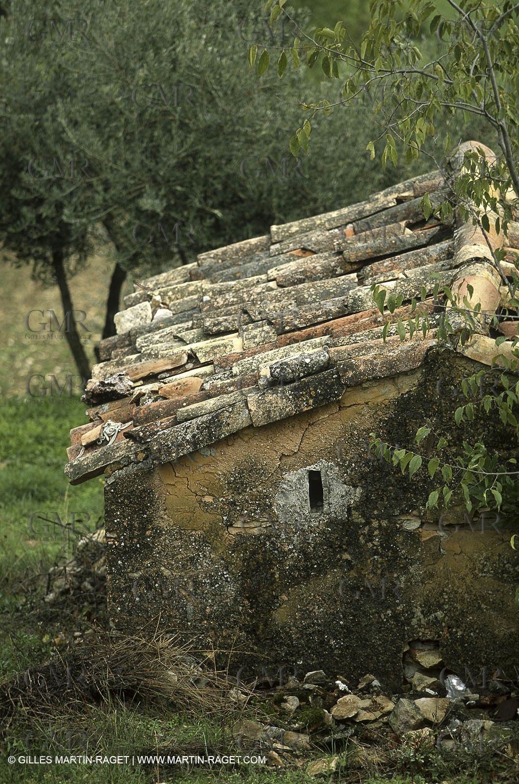Luberon (FRA,84), Fall colors