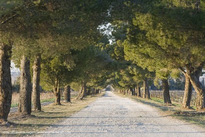 16 02 2008 - Les Baux de Provence (FRA, 13) - Alpilles hills landscapes