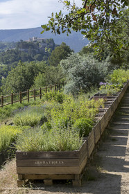 22 06 2018, Ménerbes (FRA,84), Domaine de la Citadelle, Jardin Botanique