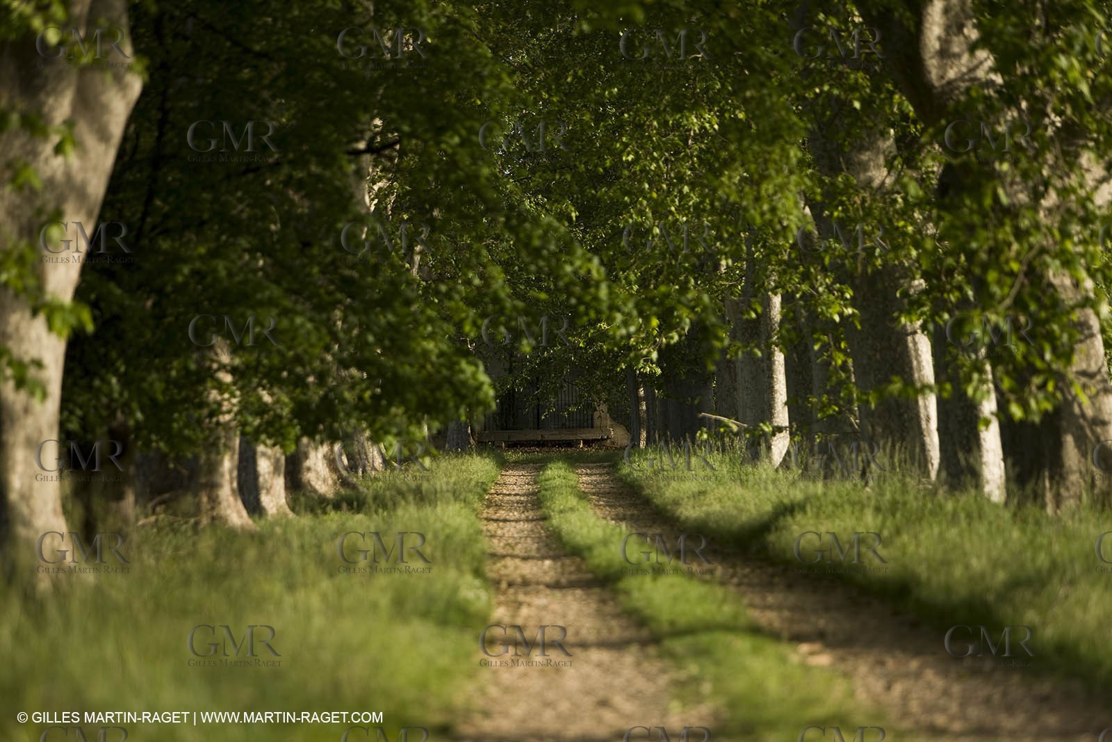 04 05 2008 - Arles (FRA,13)