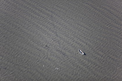 114 04 2008 - Littoral aux environs du golfe de Fos et de l'embouchure du Rhône (FRA,13)