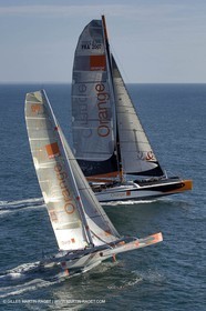 ORANGE-198.jpg