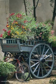 France, Provence, Saint-Rémy de Provence