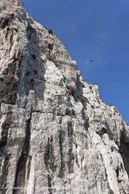 06 05 2009 - Marseille (FRA, 13) - Les Calanques - Morgiou - Cap  Morgiou