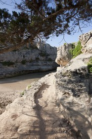 27 08 2010 - Minorque (ESP) - Cala en Blanes (côte ouest)