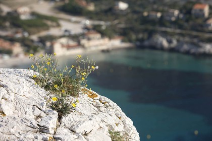20 06 2008 - Marseille (FRA, 13) - Cruising among the local islands and creeks - Sormiou