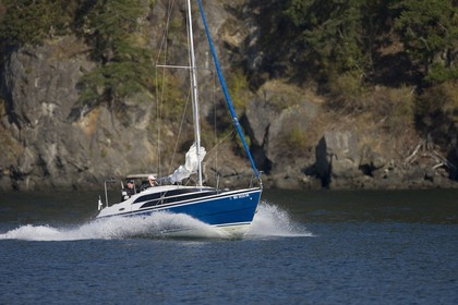 01 09 2008 - San Juan Islands (WA, USA) - Orques