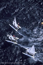 Dinghies - Tornado