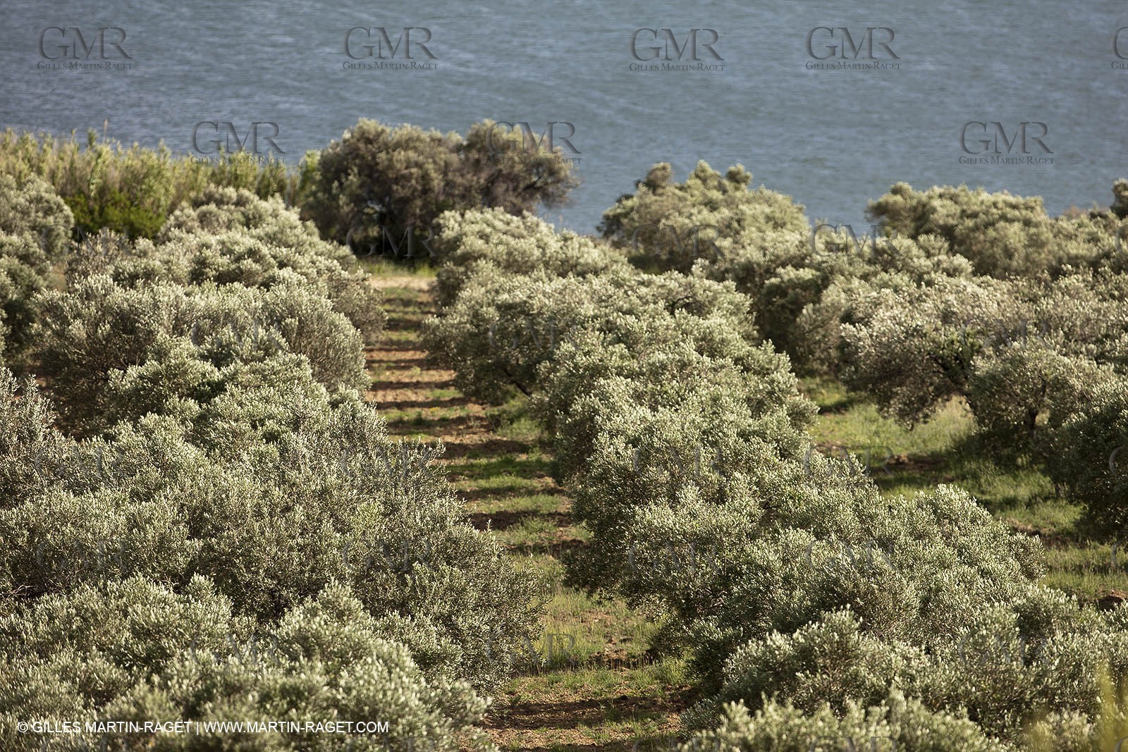 13 06 2012 - Saint Chamas (FRA,13)