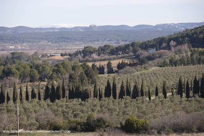 05 02 2008 - Arles (FRA, 13) - Paysages du Pays d'Arles