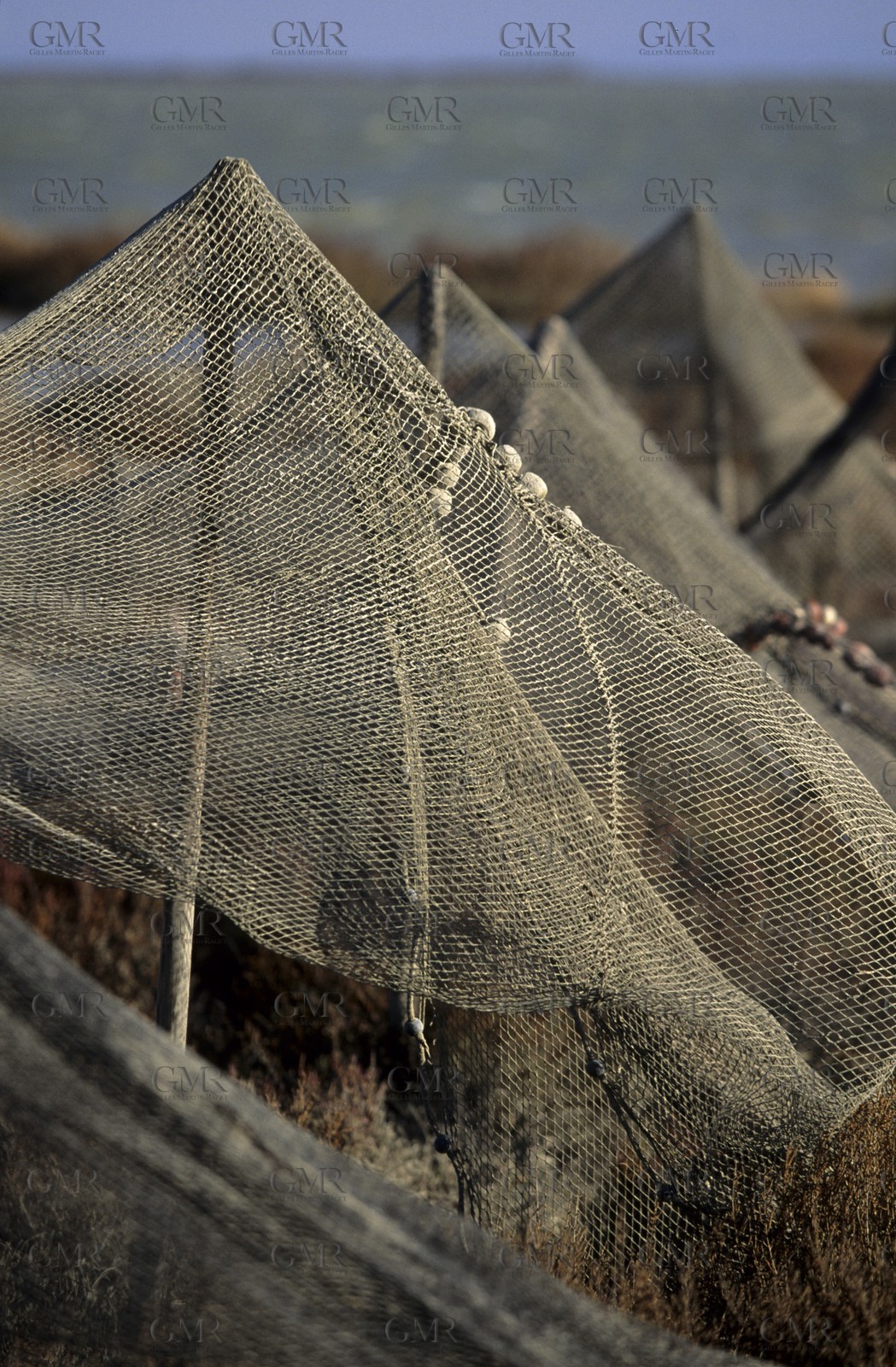 Fishing net - Belle Ile - Britany