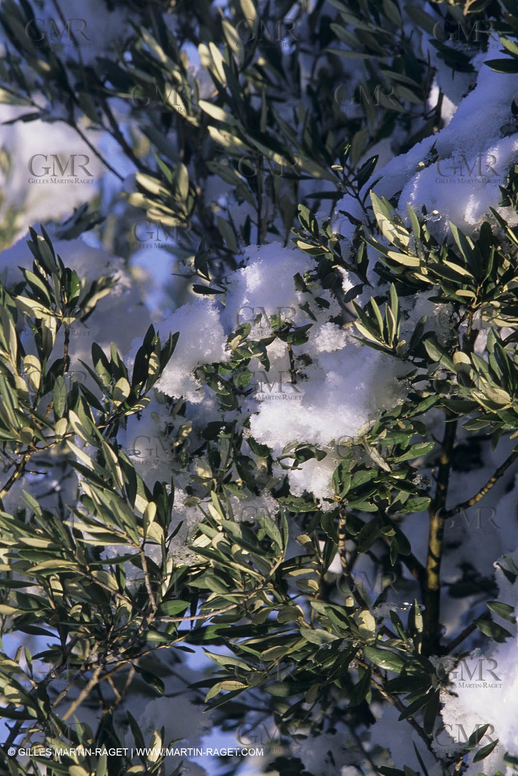 Provence under snow - Baux ed Provence