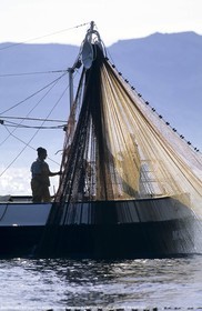 Marseille (FRA,13), La pêche