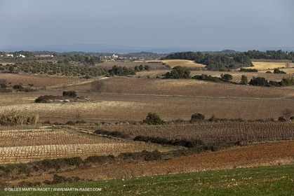 Saint Drézéry (FRA, 34), Domaine de Puech Haut