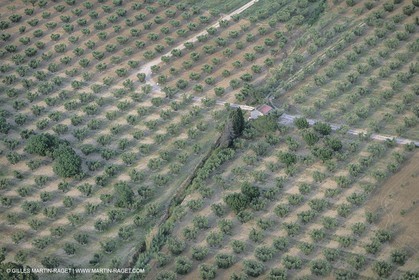 France, south, Alpilles landscapes