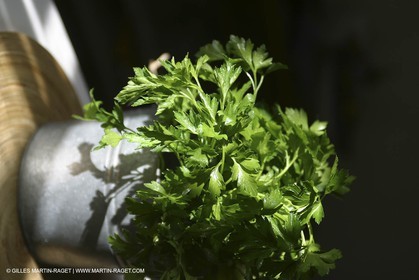 Herbes de Provence - ail et Persil