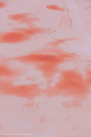 Marais salants à Aigues Mortes