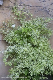 Domaine de la Baume - Tourtour (FRA,83) - 15 05 2014