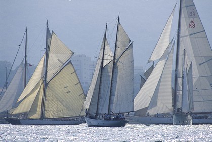 Nioulargue, Voiles de Saint-Tropez,