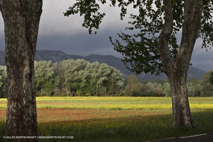 29 04 2012 ( Saint Rémy de Provence (FRA, 13) - Chaîne des Alpilles vers Romanin